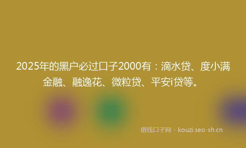 2025年的黑户必过口子2000有：滴水贷、度小满金融、融逸花、微粒贷、平安i贷等。