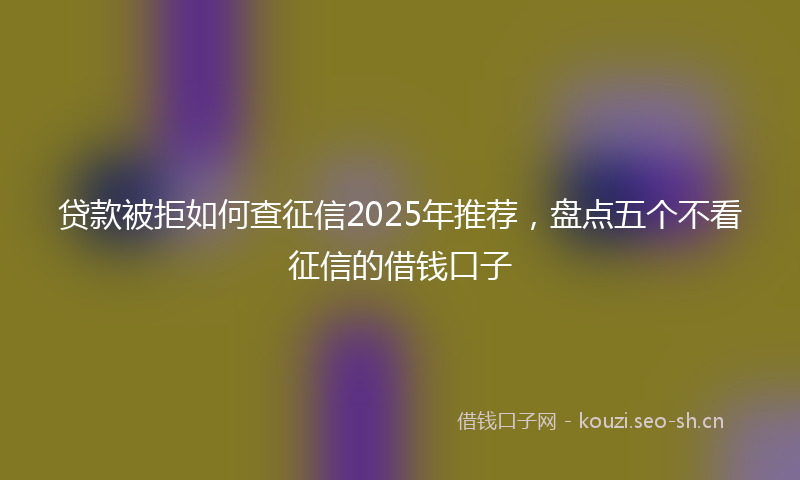 贷款被拒如何查征信2025年推荐，盘点五个不看征信的借钱口子