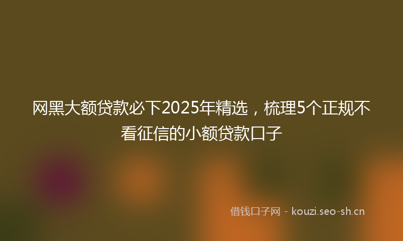 网黑大额贷款必下2025年精选，梳理5个正规不看征信的小额贷款口子