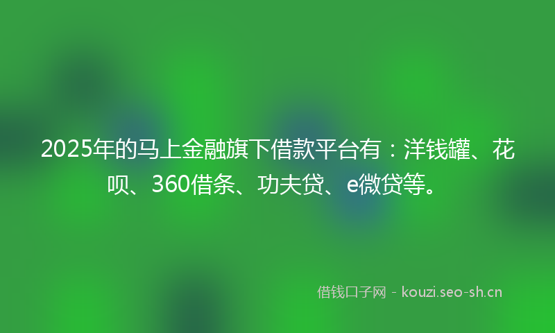 2025年的马上金融旗下借款平台有：洋钱罐、花呗、360借条、功夫贷、e微贷等。