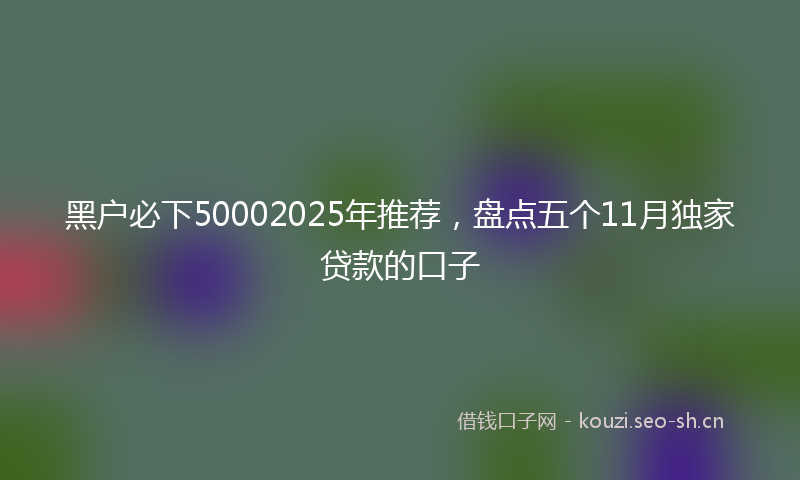 黑户必下50002025年推荐，盘点五个11月独家贷款的口子