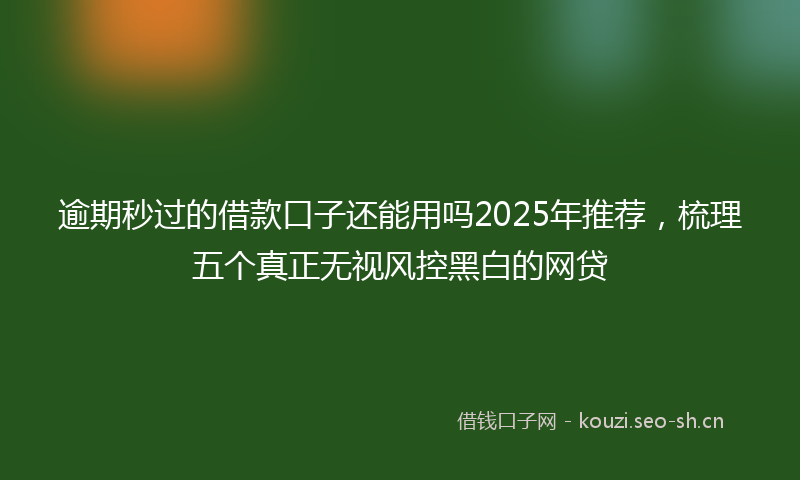 逾期秒过的借款口子还能用吗2025年推荐，梳理五个真正无视风控黑白的网贷