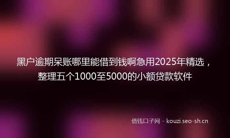 黑户逾期呆账哪里能借到钱啊急用2025年精选，整理五个1000至5000的小额贷款软件