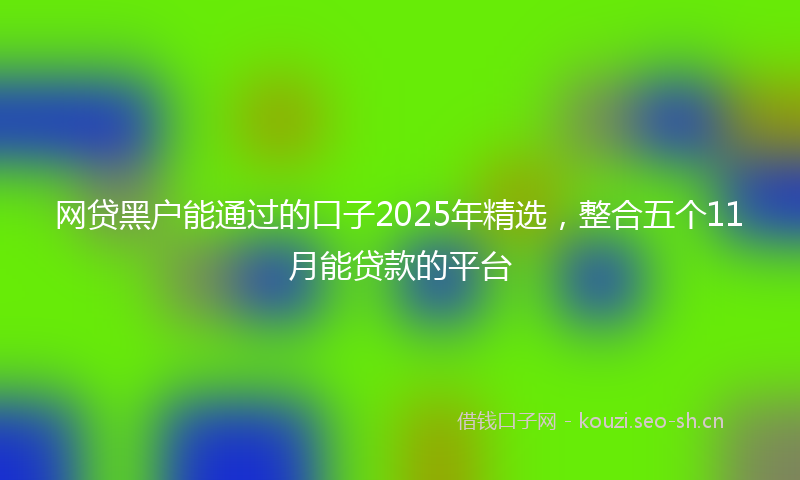 网贷黑户能通过的口子2025年精选，整合五个11月能贷款的平台