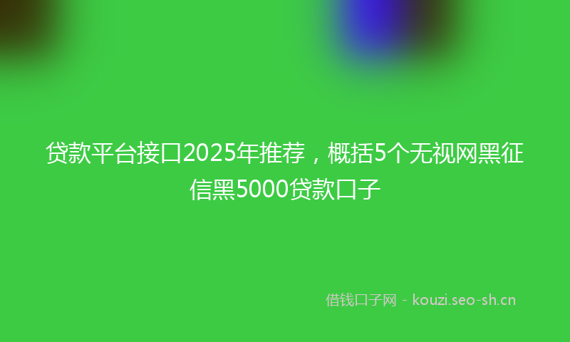 贷款平台接口2025年推荐，概括5个无视网黑征信黑5000贷款口子