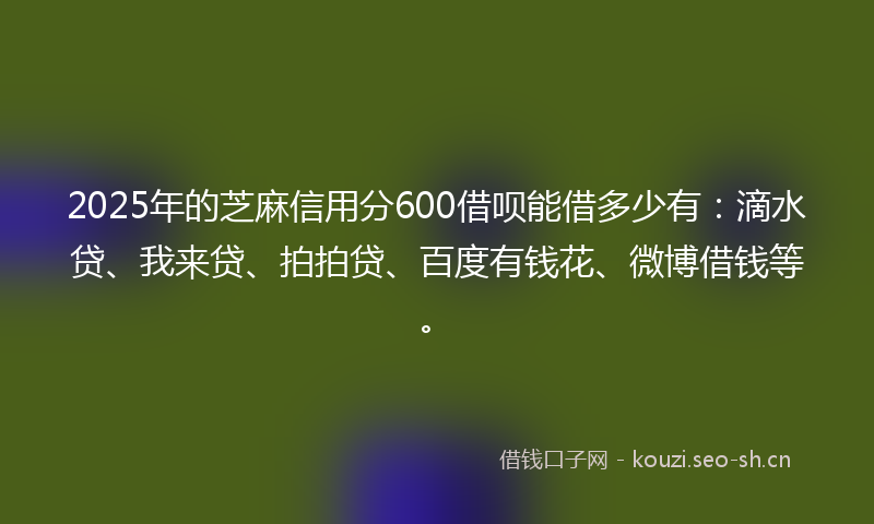 2025年的芝麻信用分600借呗能借多少有：滴水贷、我来贷、拍拍贷、百度有钱花、微博借钱等。