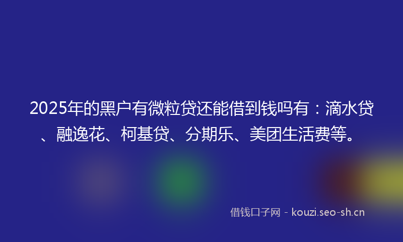 2025年的黑户有微粒贷还能借到钱吗有：滴水贷、融逸花、柯基贷、分期乐、美团生活费等。