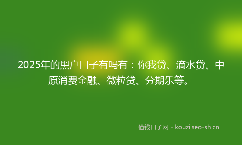 2025年的黑户口子有吗有：你我贷、滴水贷、中原消费金融、微粒贷、分期乐等。