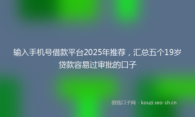 输入手机号借款平台2025年推荐，汇总五个19岁贷款容易过审批的口子