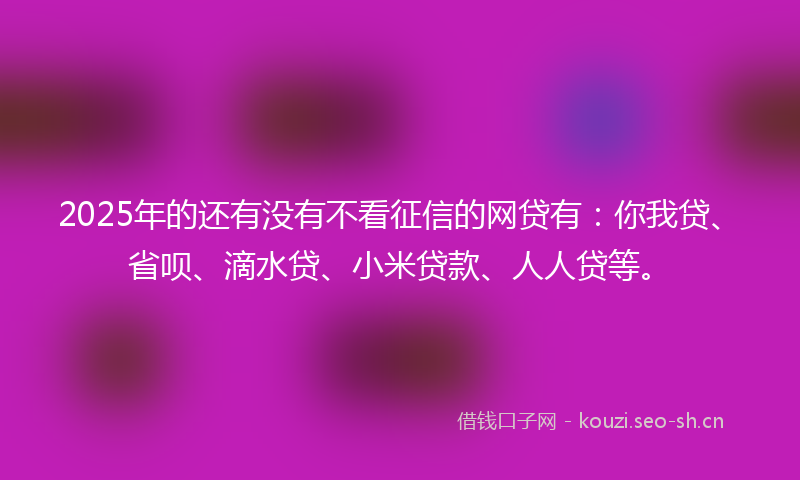 2025年的还有没有不看征信的网贷有：你我贷、省呗、滴水贷、小米贷款、人人贷等。