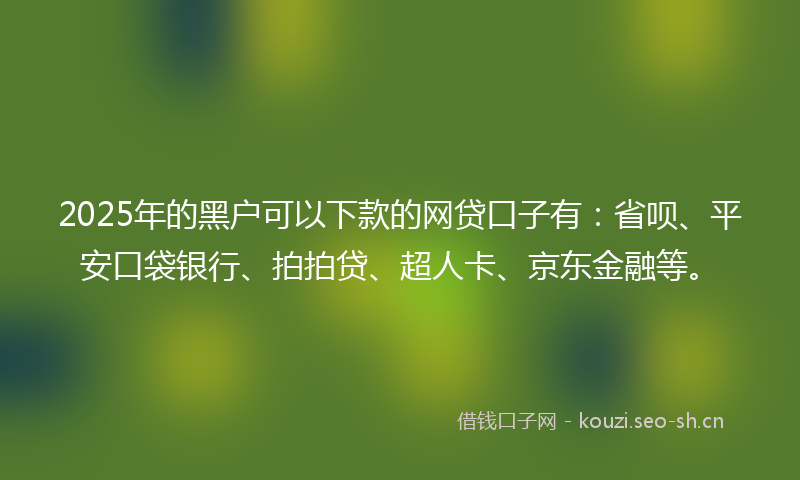 2025年的黑户可以下款的网贷口子有：省呗、平安口袋银行、拍拍贷、超人卡、京东金融等。