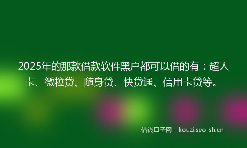 2025年的那款借款软件黑户都可以借的有：超人卡、微粒贷、随身贷、快贷通、信用卡贷等。