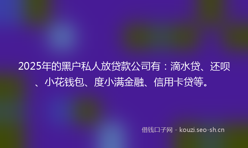 2025年的黑户私人放贷款公司有：滴水贷、还呗、小花钱包、度小满金融、信用卡贷等。