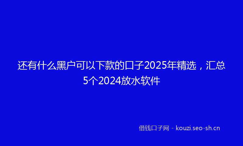 还有什么黑户可以下款的口子2025年精选，汇总5个2024放水软件