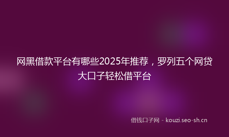 网黑借款平台有哪些2025年推荐，罗列五个网贷大口子轻松借平台