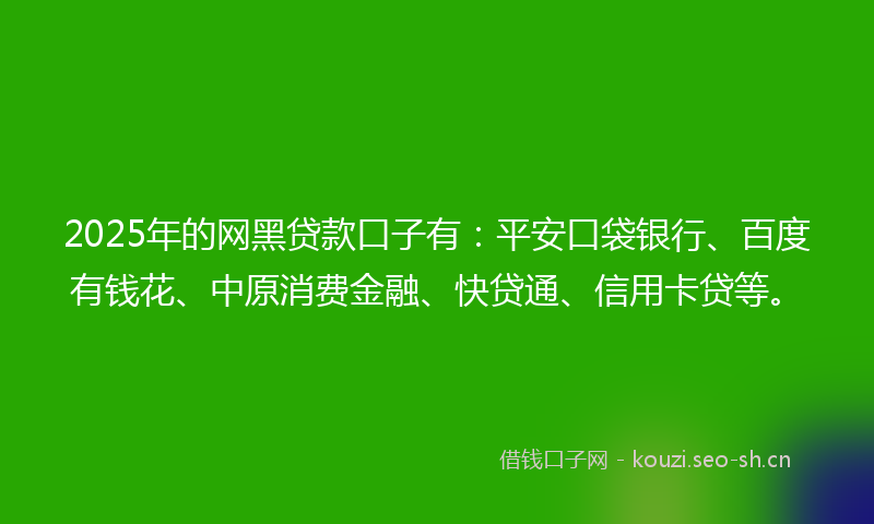2025年的网黑贷款口子有：平安口袋银行、百度有钱花、中原消费金融、快贷通、信用卡贷等。