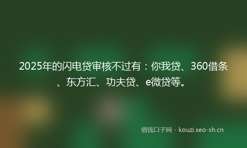 2025年的闪电贷审核不过有：你我贷、360借条、东方汇、功夫贷、e微贷等。