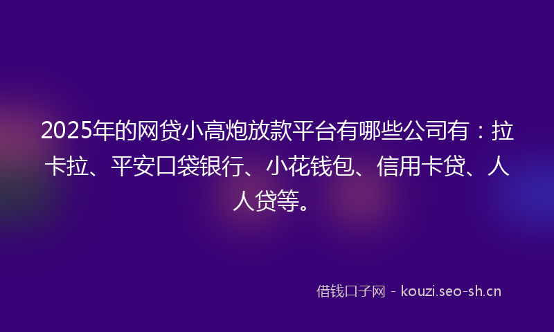 2025年的网贷小高炮放款平台有哪些公司有：拉卡拉、平安口袋银行、小花钱包、信用卡贷、人人贷等。