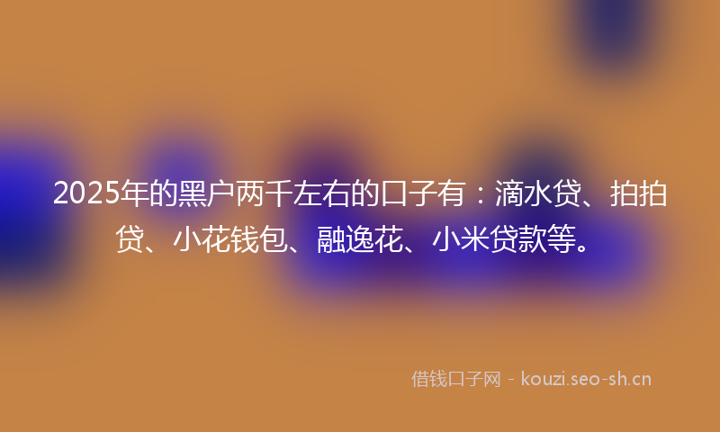 2025年的黑户两千左右的口子有：滴水贷、拍拍贷、小花钱包、融逸花、小米贷款等。