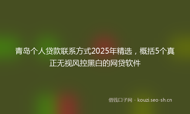 青岛个人贷款联系方式2025年精选，概括5个真正无视风控黑白的网贷软件