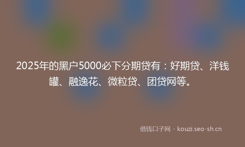2025年的黑户5000必下分期贷有：好期贷、洋钱罐、融逸花、微粒贷、团贷网等。