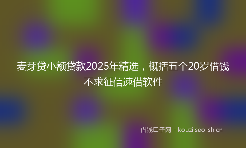 麦芽贷小额贷款2025年精选，概括五个20岁借钱不求征信速借软件