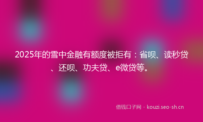 2025年的雪中金融有额度被拒有：省呗、读秒贷、还呗、功夫贷、e微贷等。