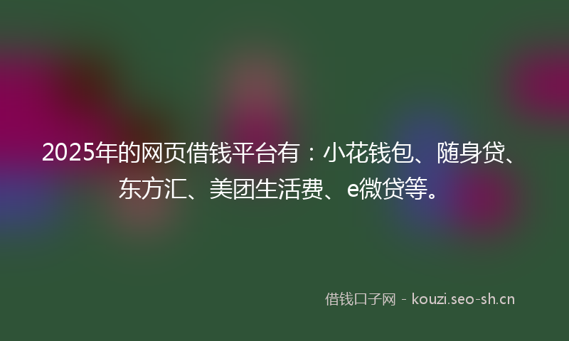 2025年的网页借钱平台有：小花钱包、随身贷、东方汇、美团生活费、e微贷等。