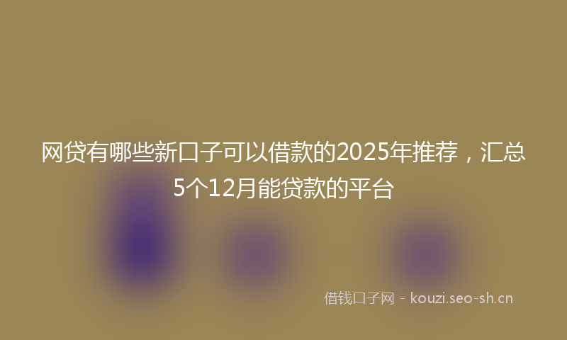 网贷有哪些新口子可以借款的2025年推荐，汇总5个12月能贷款的平台
