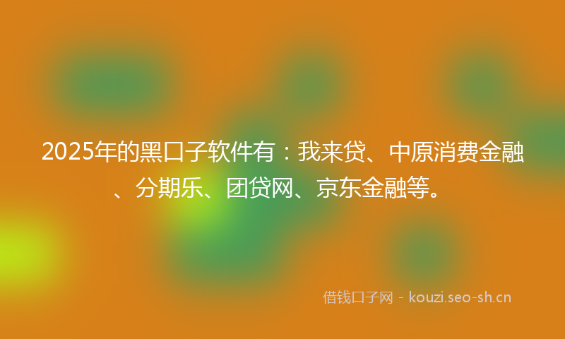 2025年的黑口子软件有：我来贷、中原消费金融、分期乐、团贷网、京东金融等。