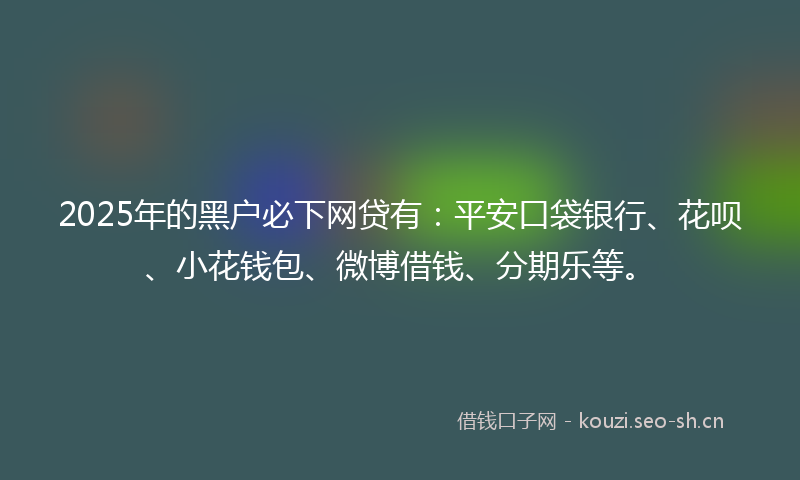 2025年的黑户必下网贷有：平安口袋银行、花呗、小花钱包、微博借钱、分期乐等。