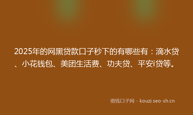 2025年的网黑贷款口子秒下的有哪些有：滴水贷、小花钱包、美团生活费、功夫贷、平安i贷等。