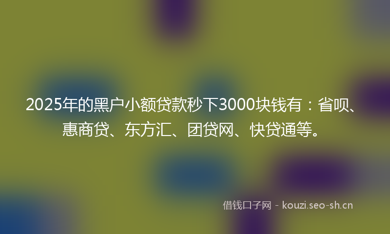 2025年的黑户小额贷款秒下3000块钱有：省呗、惠商贷、东方汇、团贷网、快贷通等。