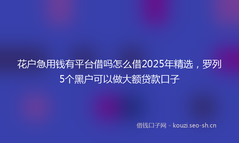 花户急用钱有平台借吗怎么借2025年精选，罗列5个黑户可以做大额贷款口子