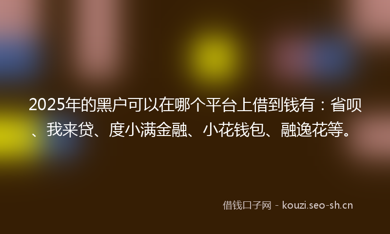 2025年的黑户可以在哪个平台上借到钱有：省呗、我来贷、度小满金融、小花钱包、融逸花等。