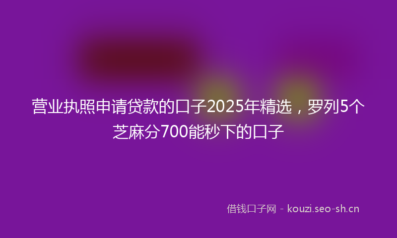 营业执照申请贷款的口子2025年精选，罗列5个芝麻分700能秒下的口子