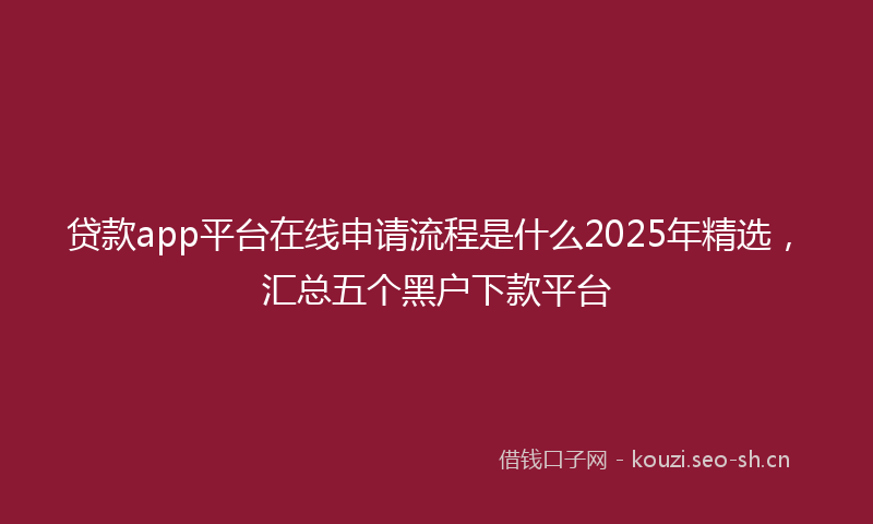 贷款app平台在线申请流程是什么2025年精选，汇总五个黑户下款平台