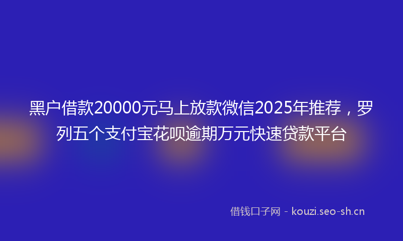 黑户借款20000元马上放款微信2025年推荐，罗列五个支付宝花呗逾期万元快速贷款平台