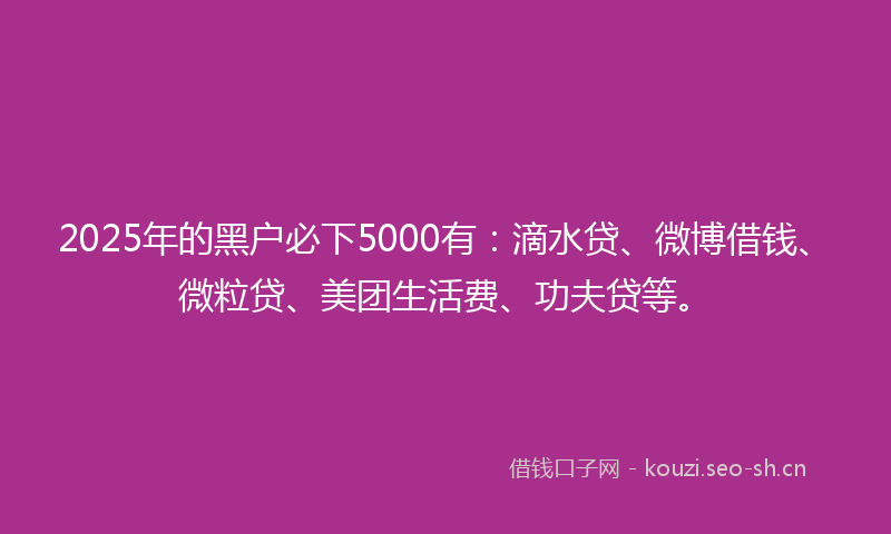 2025年的黑户必下5000有：滴水贷、微博借钱、微粒贷、美团生活费、功夫贷等。