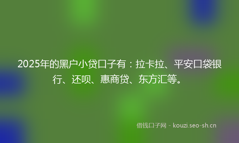 2025年的黑户小贷口子有：拉卡拉、平安口袋银行、还呗、惠商贷、东方汇等。