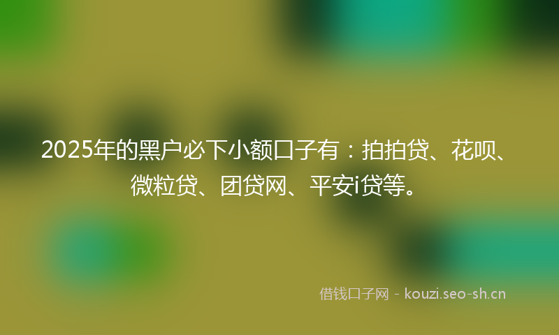 2025年的黑户必下小额口子有：拍拍贷、花呗、微粒贷、团贷网、平安i贷等。