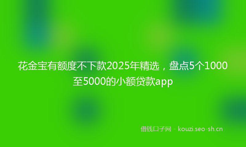 花金宝有额度不下款2025年精选，盘点5个1000至5000的小额贷款app