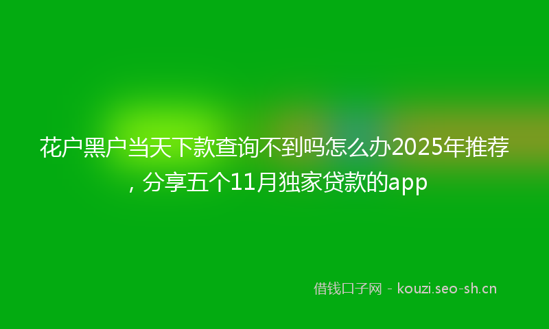 花户黑户当天下款查询不到吗怎么办2025年推荐，分享五个11月独家贷款的app