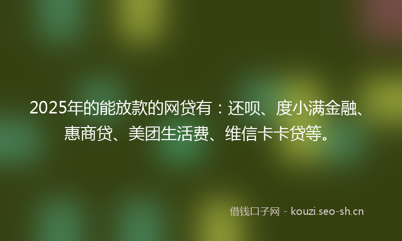 2025年的能放款的网贷有：还呗、度小满金融、惠商贷、美团生活费、维信卡卡贷等。