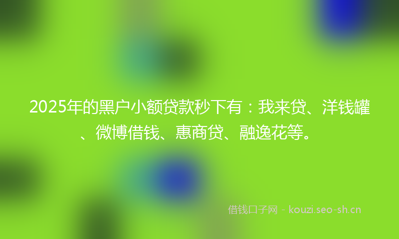 2025年的黑户小额贷款秒下有：我来贷、洋钱罐、微博借钱、惠商贷、融逸花等。
