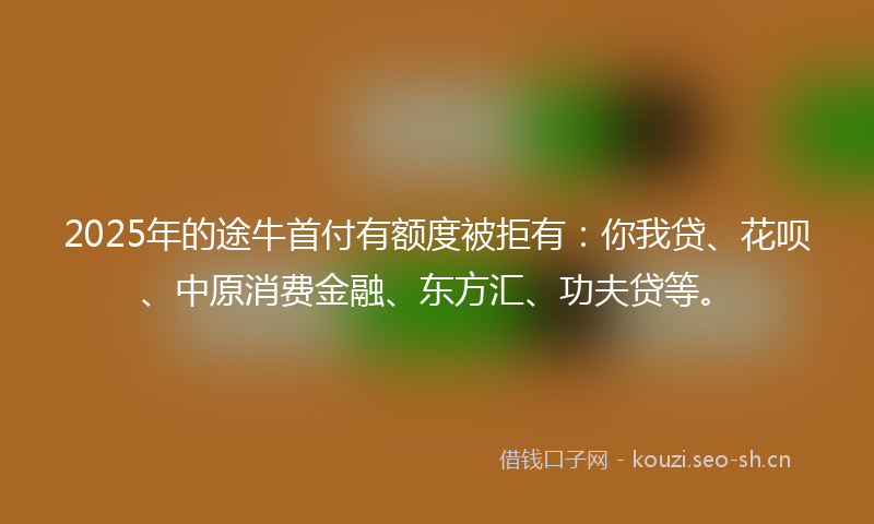 2025年的途牛首付有额度被拒有：你我贷、花呗、中原消费金融、东方汇、功夫贷等。