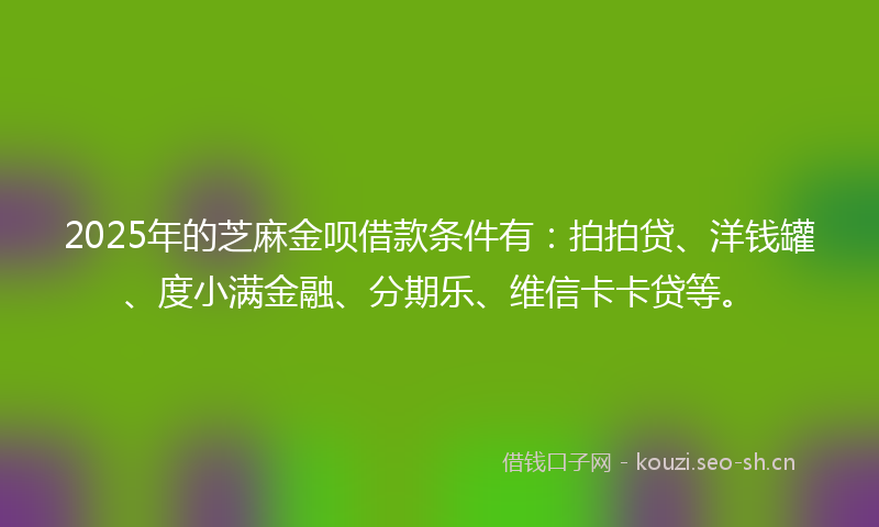 2025年的芝麻金呗借款条件有：拍拍贷、洋钱罐、度小满金融、分期乐、维信卡卡贷等。