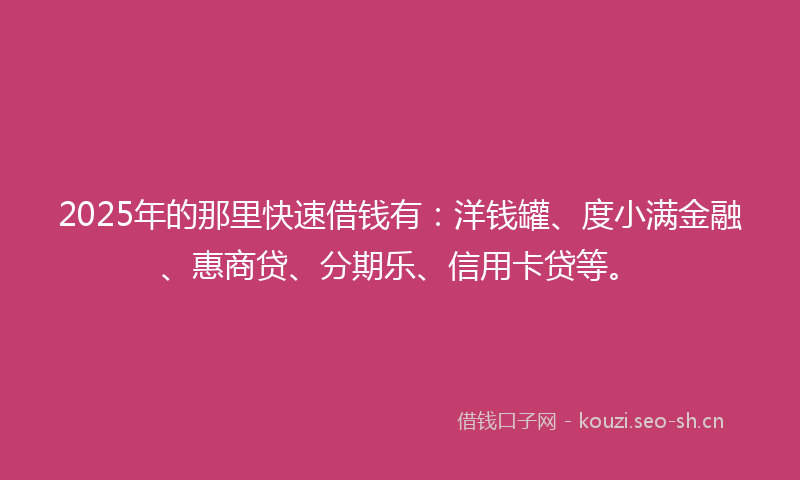 2025年的那里快速借钱有：洋钱罐、度小满金融、惠商贷、分期乐、信用卡贷等。