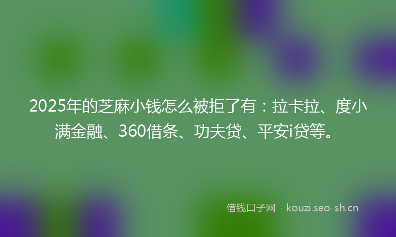 2025年的芝麻小钱怎么被拒了有：拉卡拉、度小满金融、360借条、功夫贷、平安i贷等。