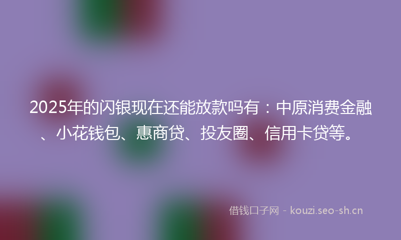 2025年的闪银现在还能放款吗有：中原消费金融、小花钱包、惠商贷、投友圈、信用卡贷等。